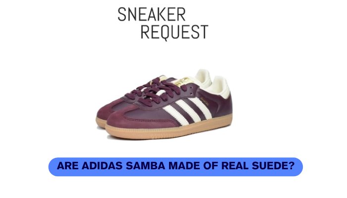 Are Adidas Samba Made Of Real Suede? - Sneaker Request