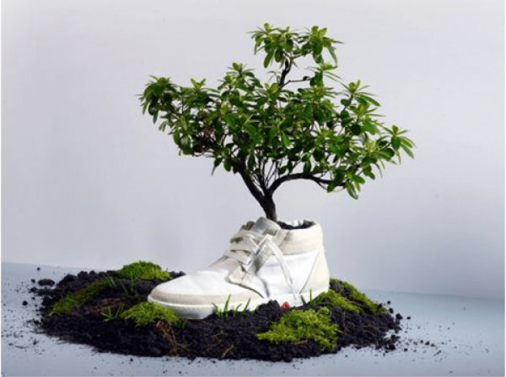 duurzaamheid in de sneakerbranche - Sneaker Request