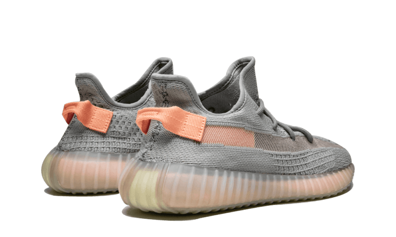 Adidas Yeezy Boost 350 V2 True Form - Sneaker Request - Sneakers - Adidas