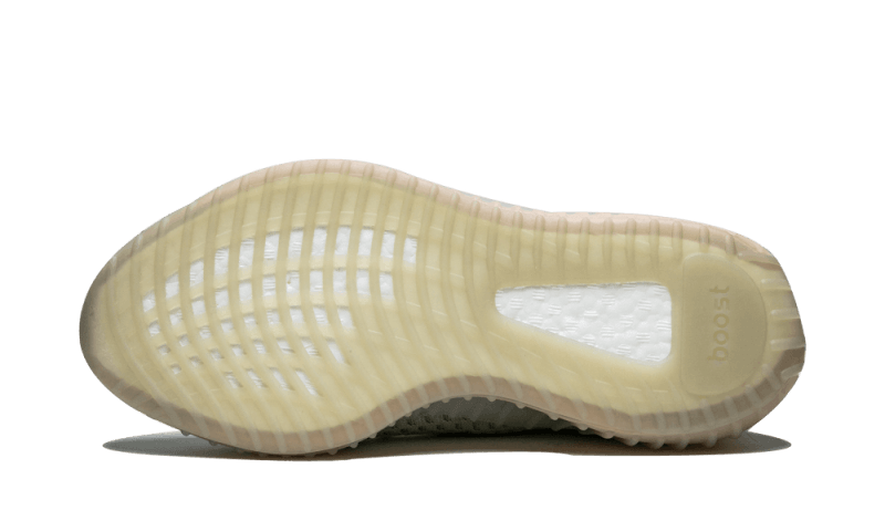 Adidas Yeezy Boost 350 V2 True Form - Sneaker Request - Sneakers - Adidas