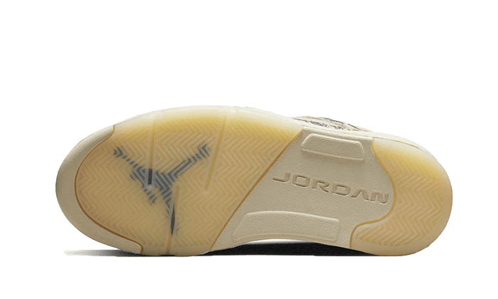 Air Jordan 5 Low Expression - Sneaker Request - Sneakers - Air Jordan