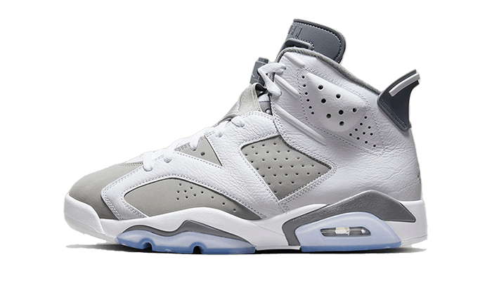 Air Jordan 6 Cool Grey - Sneaker Request - Sneakers - Air Jordan