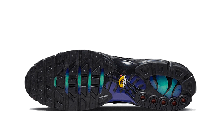 Nike Air Max Plus Black Blue Red - Sneaker Request - Sneakers - Nike