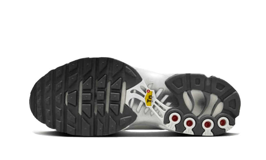 Nike Air Max Plus Reflective Platinum - Sneaker Request - Sneakers - Nike