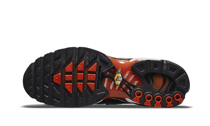 Nike tn air max plus sunset sale